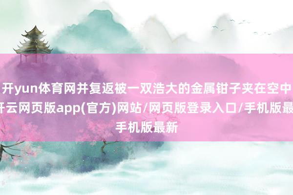 开yun体育网并复返被一双浩大的金属钳子夹在空中-开云网页版app(官方)网站/网页版登录入口/手机版最新